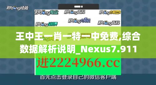 王中王一肖一特一中免費(fèi),綜合數(shù)據(jù)解析說明_Nexus7.911