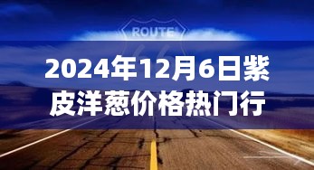 2024年12月6日紫皮洋蔥行情及心靈與自然美景的探索之旅