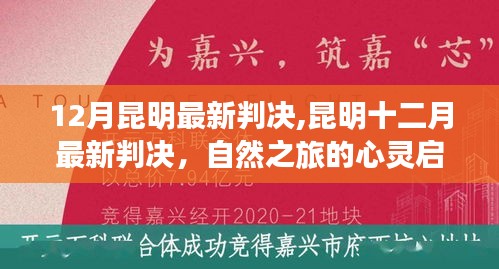 昆明最新判決背后的自然之旅心靈啟示錄