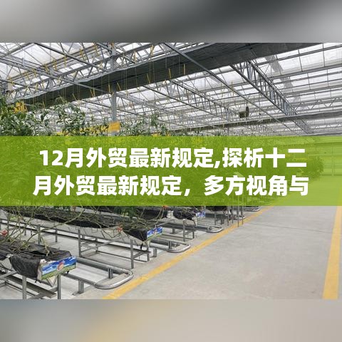 十二月外貿最新規定深度解析，多方視角與影響展望