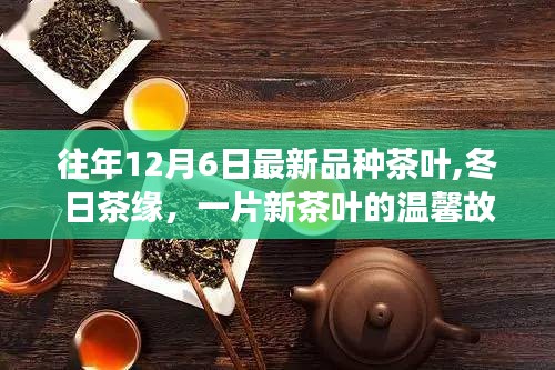 冬日茶緣，最新品種茶葉的溫馨故事——12月6日的新茶篇章