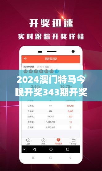 2024澳門特馬今晚開獎343期開獎結果,決策資料解釋落實_C版16.132