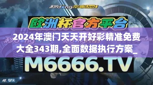 2024年澳門天天開好彩精準免費大全343期,全面數據執行方案_開發版19.233