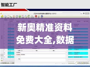 新奧精準資料免費大全,數據整合實施_界面版10.968