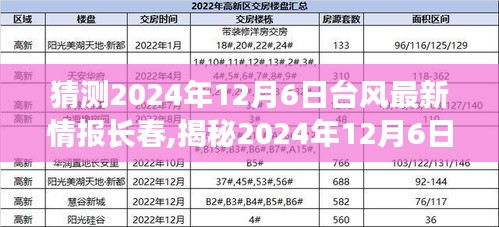 揭秘2024年12月6日臺風最新動態，長春備戰，臺風預警與應對措施全解析