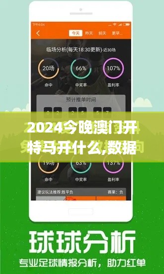 2024今晚澳門開特馬開什么,數(shù)據(jù)解答解釋定義_擴展版8.214