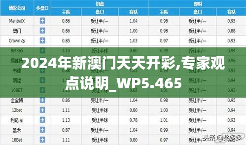 2024年新澳門天天開彩,專家觀點說明_WP5.465