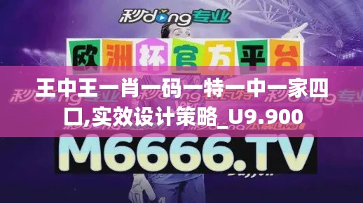 王中王一肖一碼一特一中一家四口,實效設計策略_U9.900