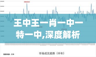 王中王一肖一中一特一中,深度解析數據應用_WP14.560