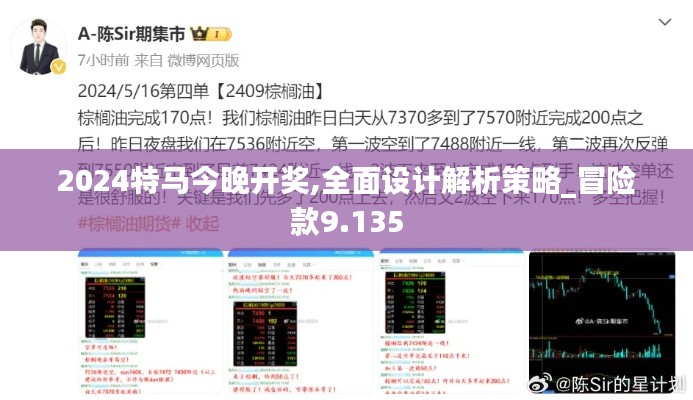 2024特馬今晚開獎,全面設計解析策略_冒險款9.135