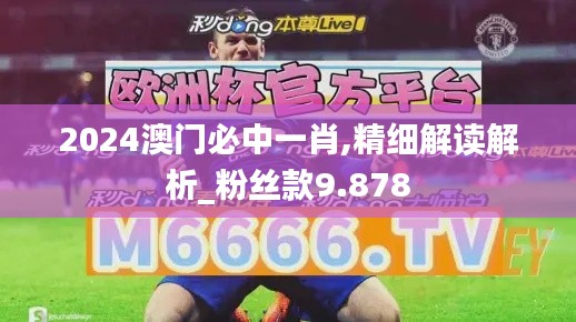 2024澳門必中一肖,精細(xì)解讀解析_粉絲款9.878