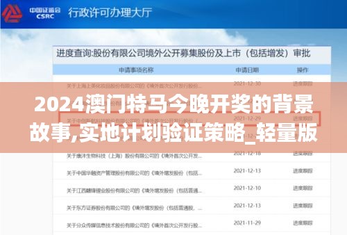 2024澳門特馬今晚開獎的背景故事,實地計劃驗證策略_輕量版8.299