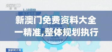 新澳門免費資料大全一精準,整體規劃執行講解_娛樂版3.586