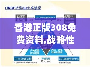 香港正版308免費資料,戰略性方案優化_3K19.405