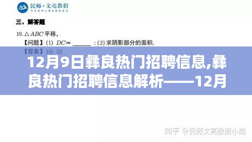 12月9日彝良熱門招聘信息精選概覽