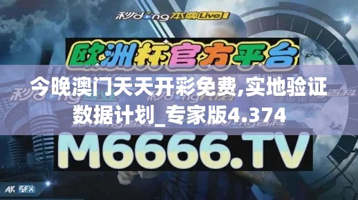 今晚澳門天天開彩免費,實地驗證數據計劃_專家版4.374