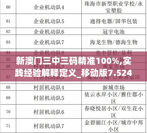 新澳門三中三碼精準100%,實踐經驗解釋定義_移動版7.524