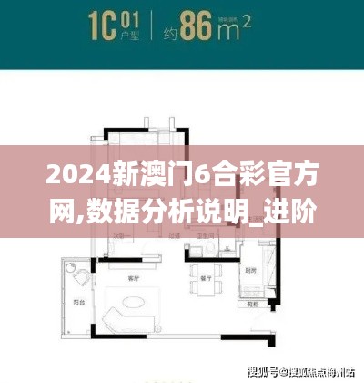 2024新澳門6合彩官方網,數據分析說明_進階款9.575