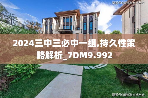 2024三中三必中一組,持久性策略解析_7DM9.992