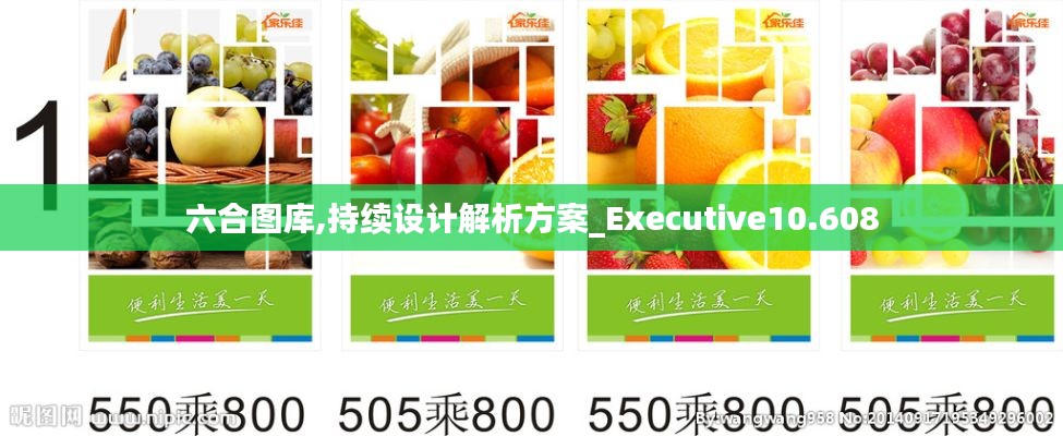 六合圖庫,持續設計解析方案_Executive10.608