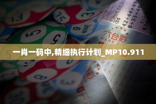 一肖一碼中,精細執行計劃_MP10.911