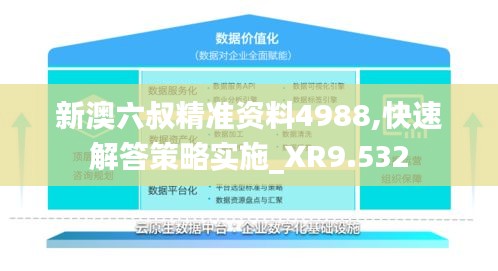 新澳六叔精準資料4988,快速解答策略實施_XR9.532