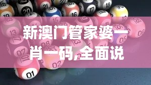 新澳門管家婆一肖一碼,全面說明解析_WP9.627