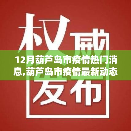 葫蘆島市疫情最新動態解讀，十二月熱門消息聚焦