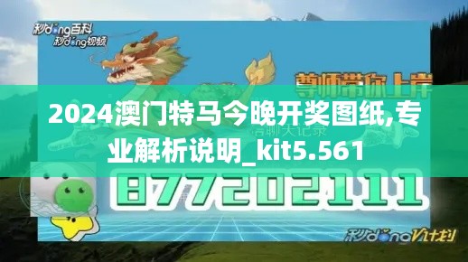 2024澳門特馬今晚開獎圖紙,專業(yè)解析說明_kit5.561