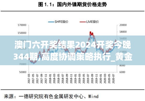 澳門六開獎結果2024開獎今晚344期,高度協調策略執行_黃金版13.608