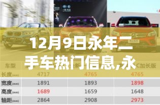 揭秘永年二手車市場最新動向，熱門高科技二手車發布及新動向解析