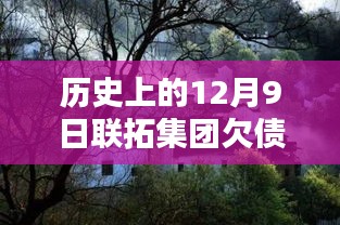 歷史上的12月9日聯(lián)拓集團(tuán)欠債最新消息,探秘小巷深處的寶藏，聯(lián)拓集團(tuán)欠債風(fēng)波下的隱藏特色小店