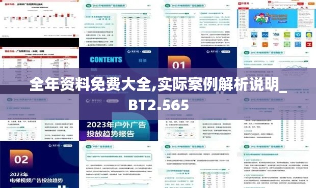 全年資料免費大全,實際案例解析說明_BT2.565