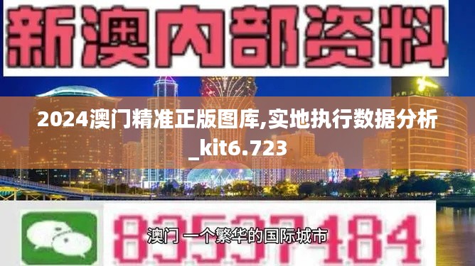 2024澳門精準(zhǔn)正版圖庫,實地執(zhí)行數(shù)據(jù)分析_kit6.723