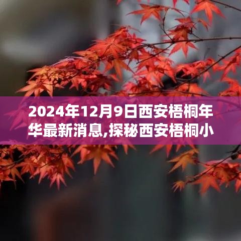 2024年12月9日西安梧桐年華最新消息,探秘西安梧桐小巷，一家隱藏于歲月靜好之處的特色小店