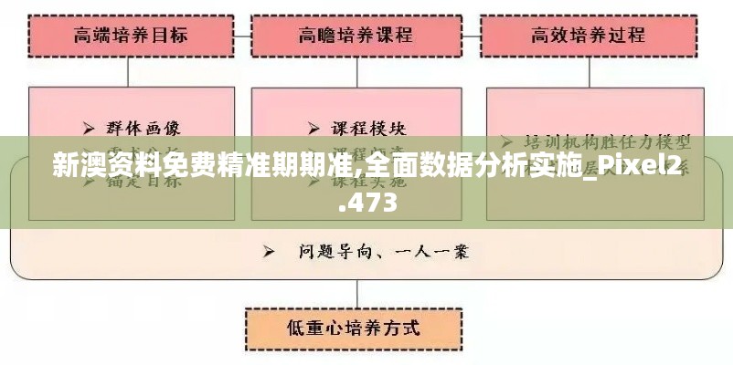 新澳資料免費精準期期準,全面數據分析實施_Pixel2.473