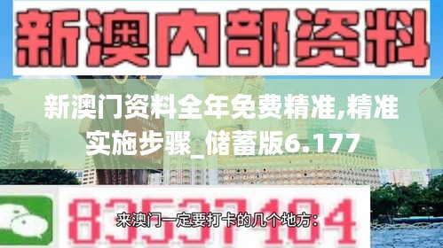 新澳門資料全年免費精準,精準實施步驟_儲蓄版6.177