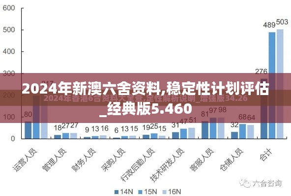 2024年新澳六舍資料,穩定性計劃評估_經典版5.460