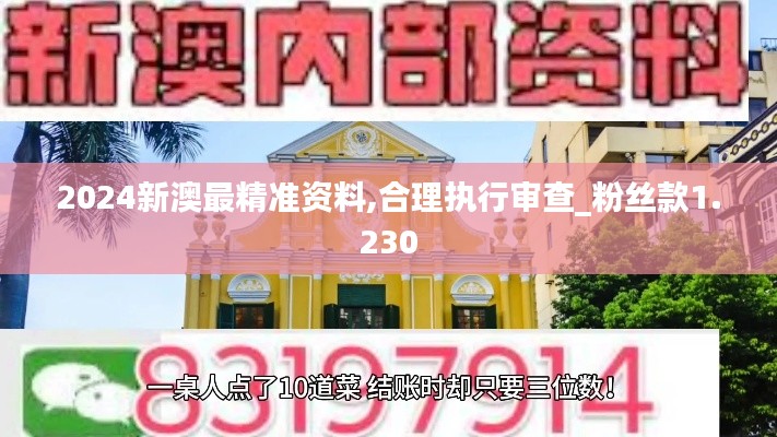 2024新澳最精準資料,合理執行審查_粉絲款1.230