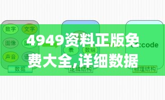 4949資料正版免費大全,詳細數據解釋定義_冒險款10.730