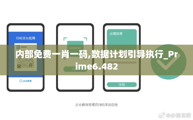內(nèi)部免費(fèi)一肖一碼,數(shù)據(jù)計(jì)劃引導(dǎo)執(zhí)行_Prime6.482