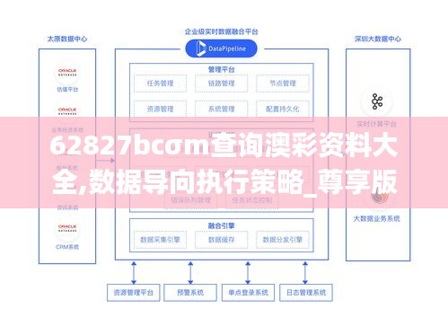 62827bcσm查詢澳彩資料大全,數據導向執行策略_尊享版6.795