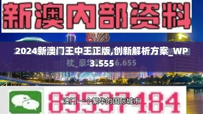 2024新澳門王中王正版,創(chuàng)新解析方案_WP3.555