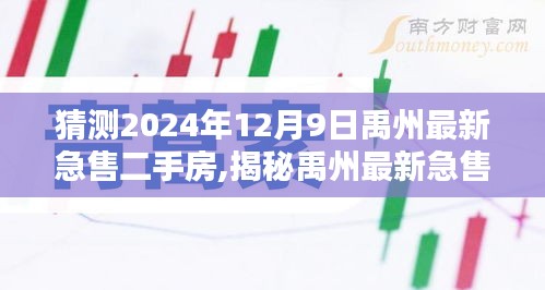 揭秘禹州最新急售二手房，預測熱門房源一覽（2024年12月9日）