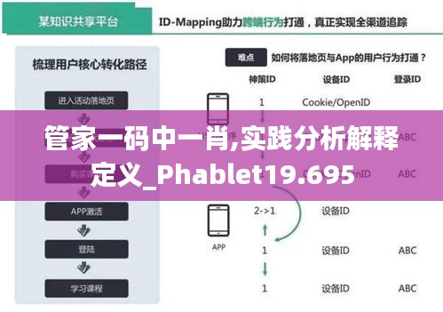 管家一碼中一肖,實踐分析解釋定義_Phablet19.695