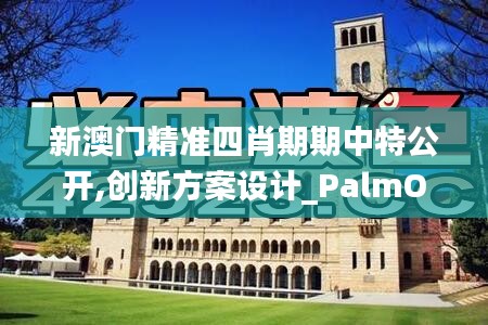 新澳門精準四肖期期中特公開,創新方案設計_PalmOS6.974