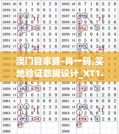 澳門管家婆-肖一碼,實地驗證數(shù)據(jù)設(shè)計_XT1.283