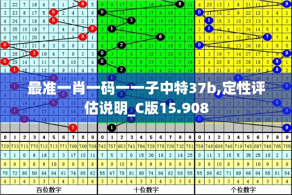 最準一肖一碼一一子中特37b,定性評估說明_C版15.908