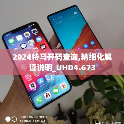 2024特馬開碼查詢,精細化解讀說明_UHD4.673