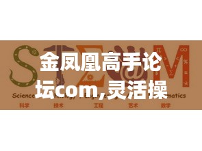 金鳳凰高手論壇com,靈活操作方案_set2.740